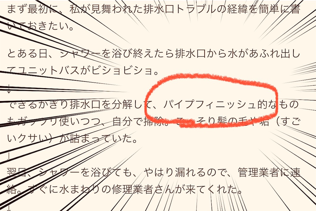f:id:gohatori:20220723175746j:image