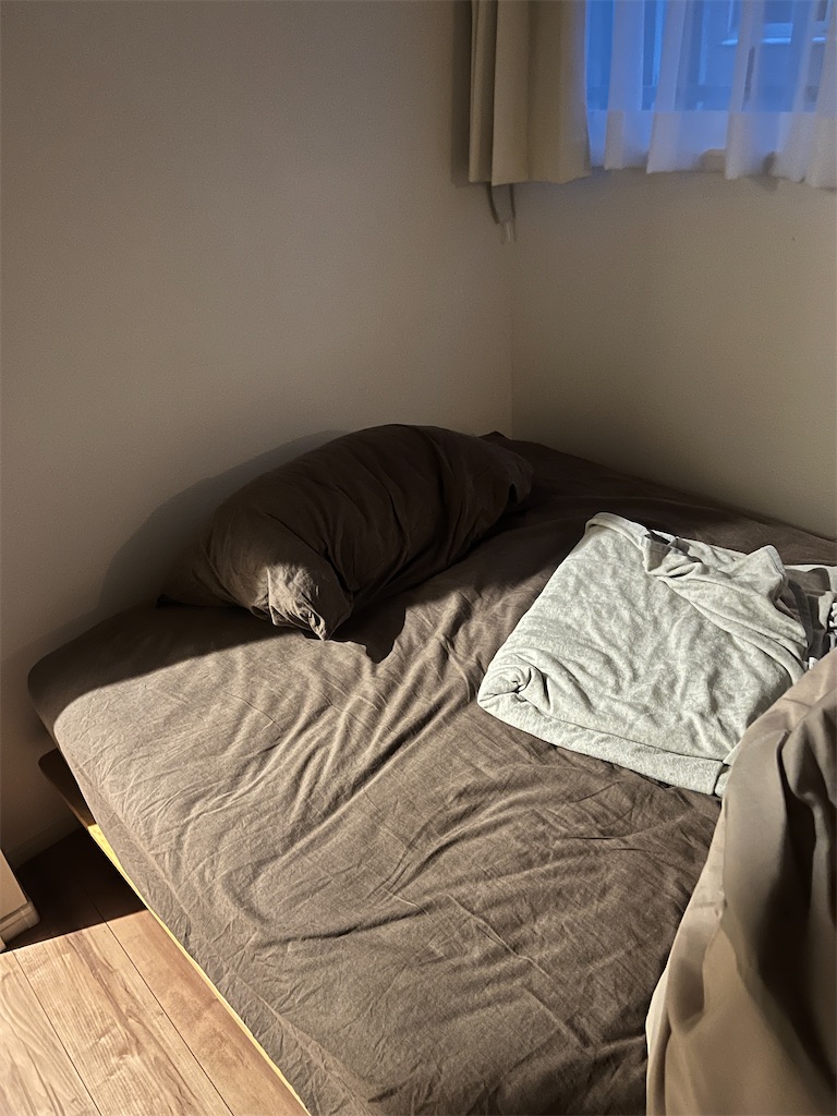 f:id:gohatori:20220802044058j:image