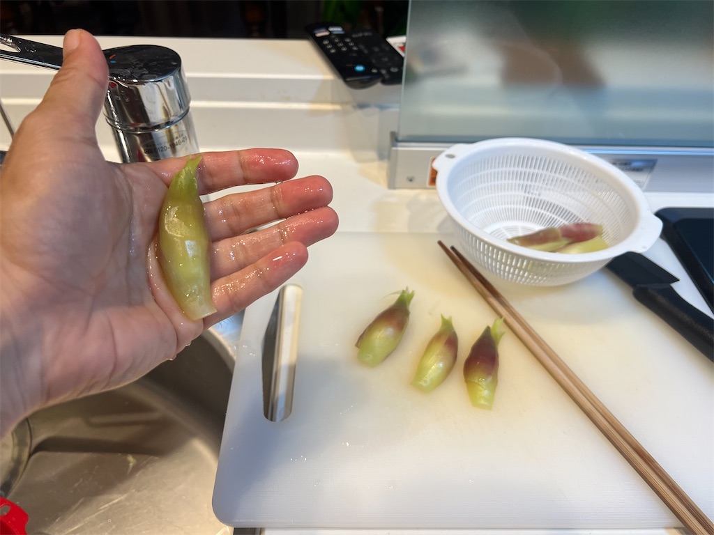 f:id:gohatori:20220808070305j:image f:id:gohatori:20220808070305j:image