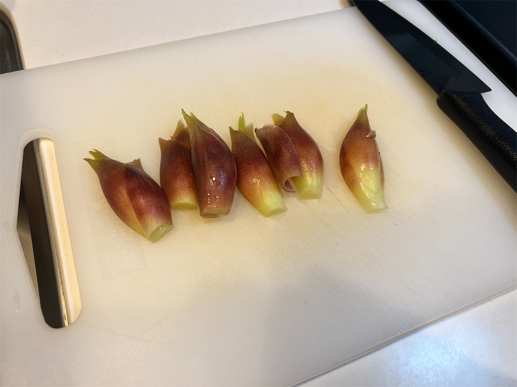 f:id:gohatori:20220808070323j:image f:id:gohatori:20220808070323j:image