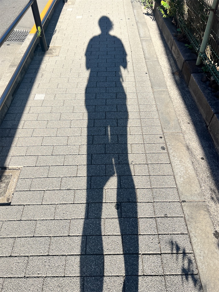 f:id:gohatori:20220819070112j:image