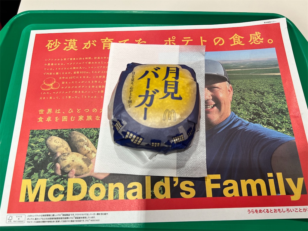 ワクワクしながら人生初の マクドナルドの月見バーガー を食べてみた結果 羽鳥商店