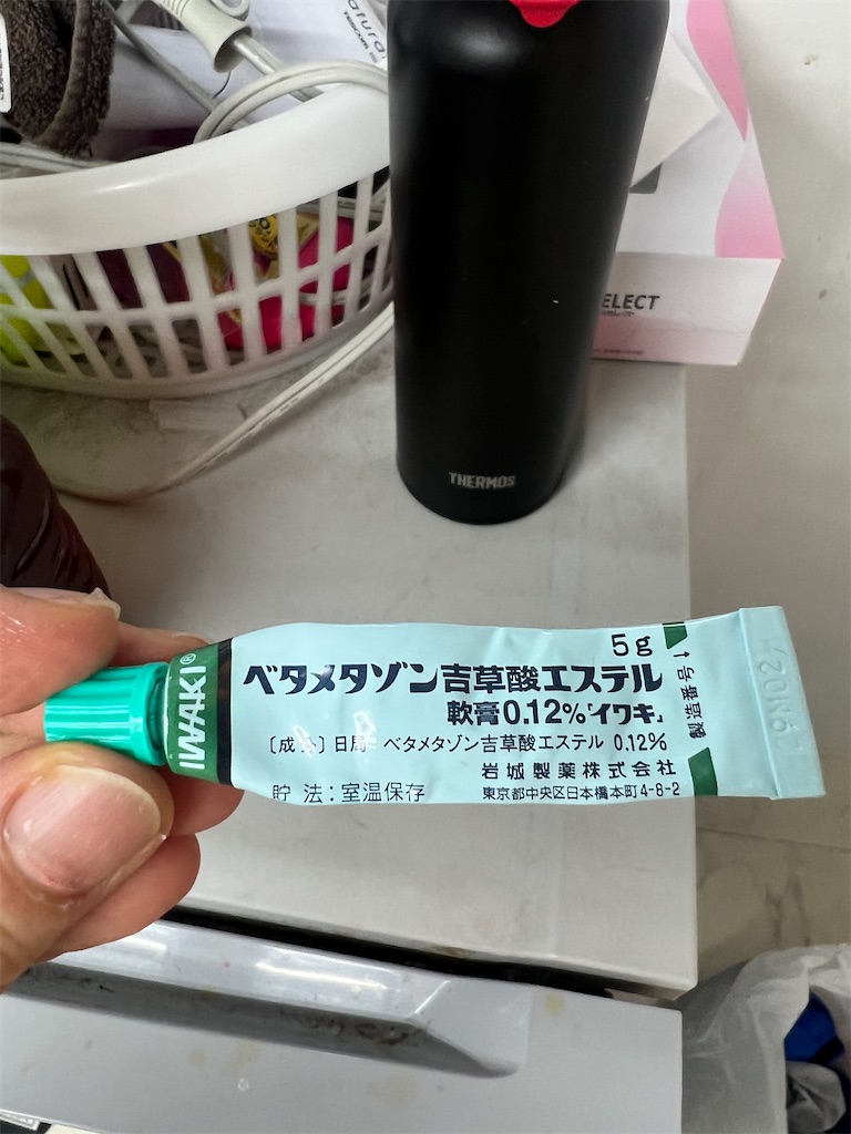 f:id:gohatori:20230317074848j:image f:id:gohatori:20230317074848j:image