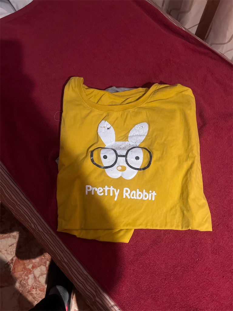 f:id:gohatori:20230325220427j:image