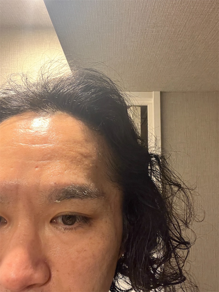 f:id:gohatori:20230325220445j:image