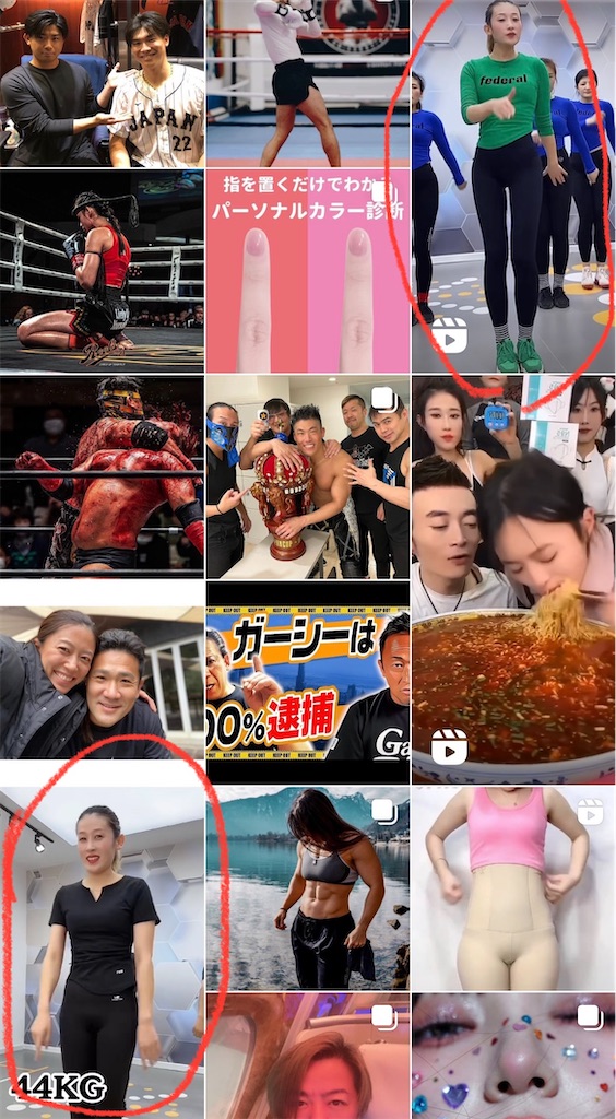 f:id:gohatori:20230327090321j:image