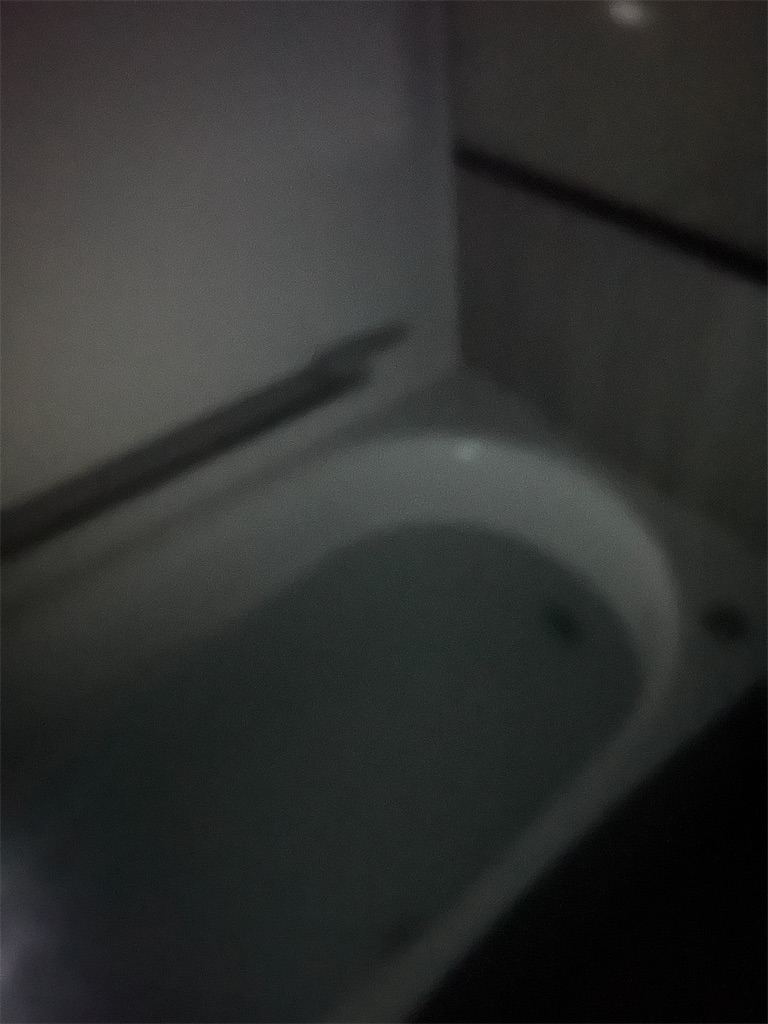 f:id:gohatori:20230328065145j:image