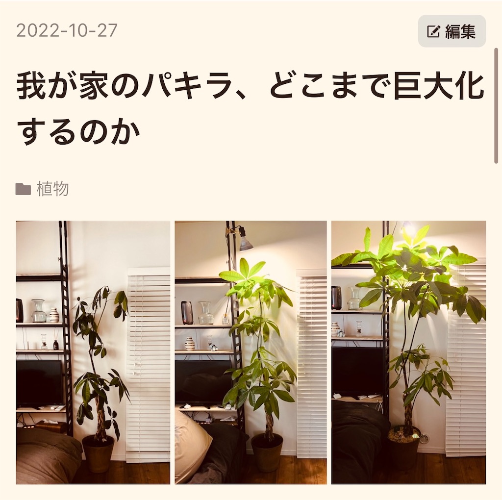 f:id:gohatori:20230414084222j:image f:id:gohatori:20230414084222j:image