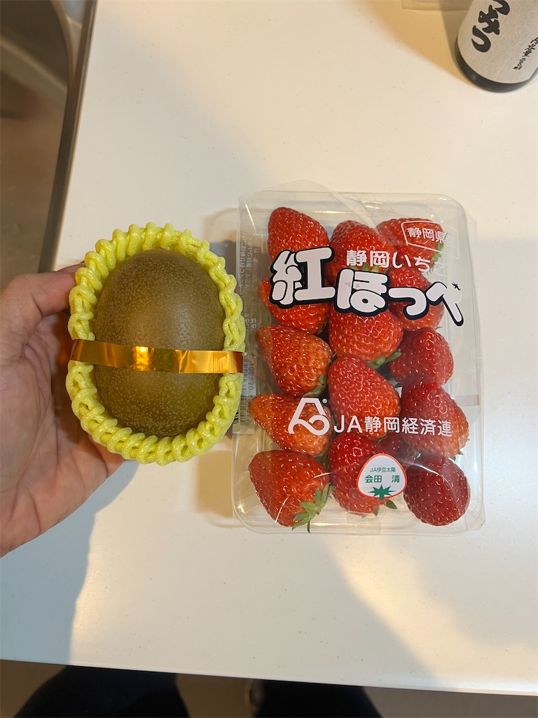 f:id:gohatori:20230429162725j:image