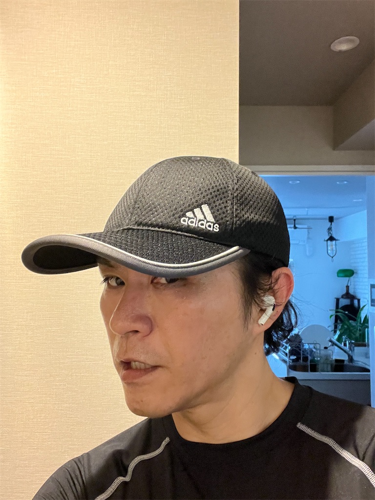 f:id:gohatori:20230510054353j:image