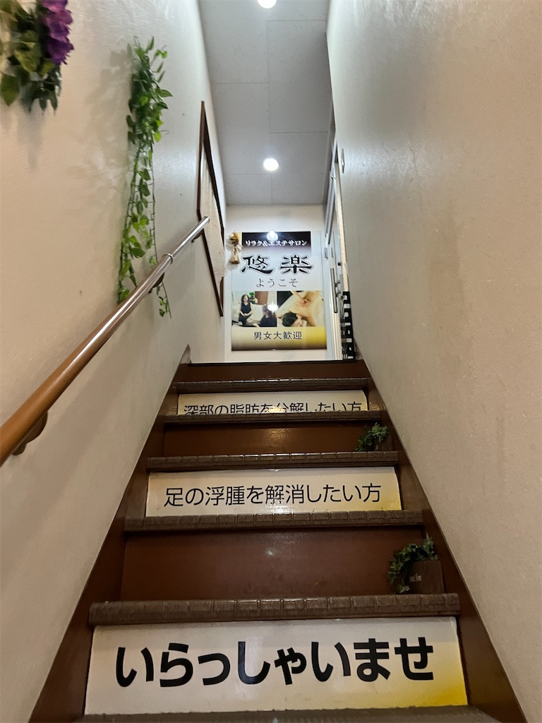 f:id:gohatori:20230510084454j:image f:id:gohatori:20230510084454j:image