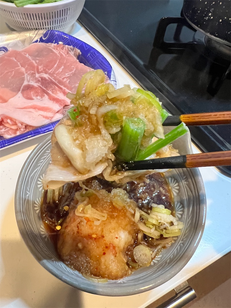 f:id:gohatori:20230517080130j:image