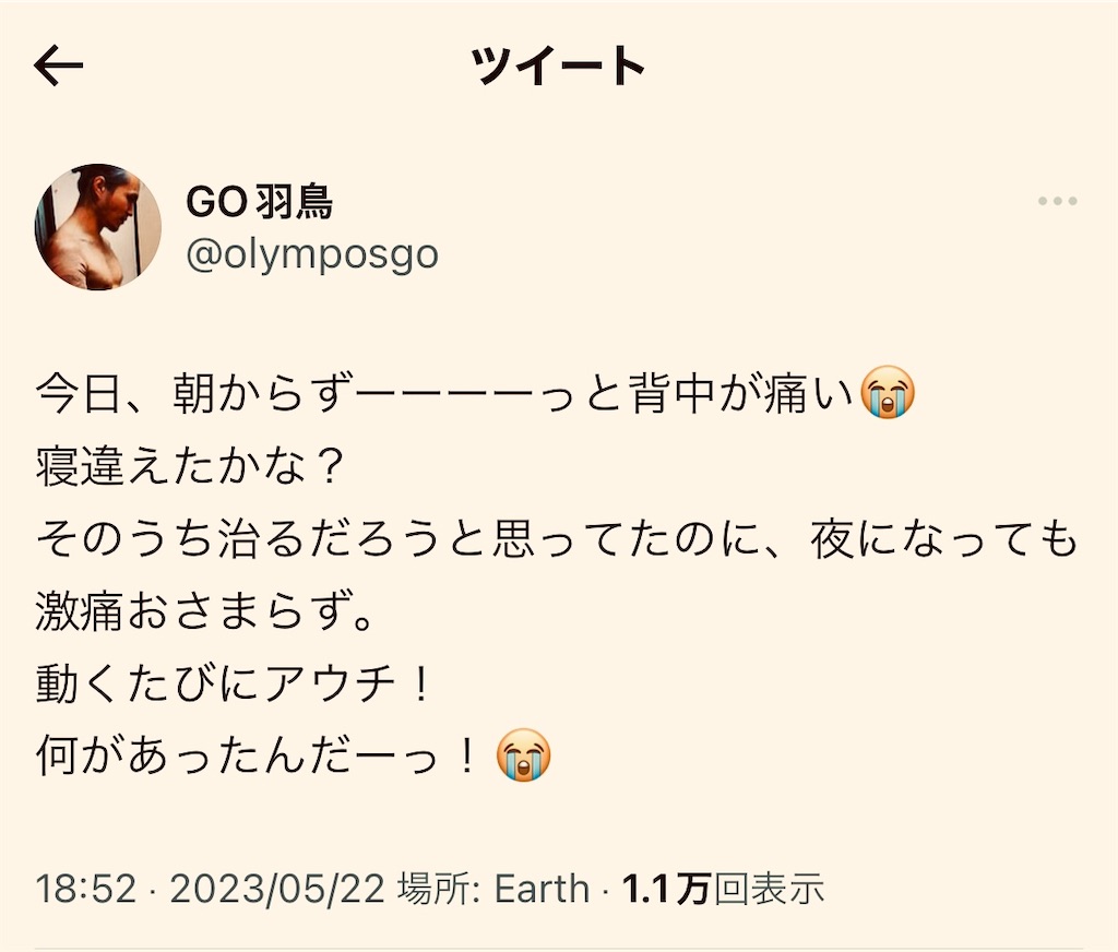 f:id:gohatori:20230524060551j:image