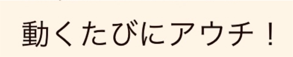 f:id:gohatori:20230524062555j:image
