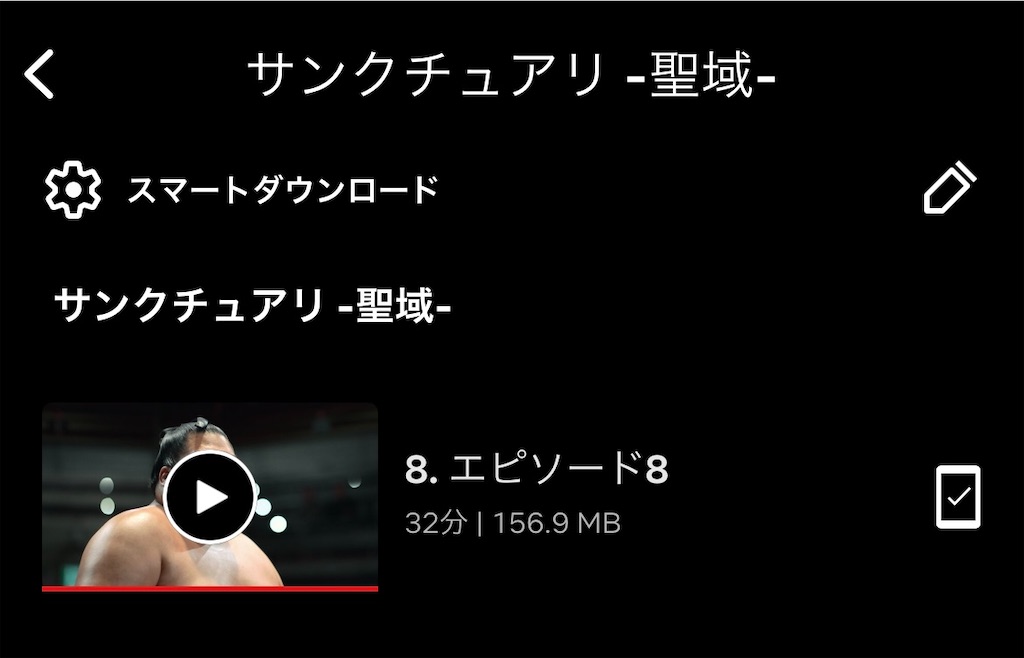 f:id:gohatori:20230531082408j:image