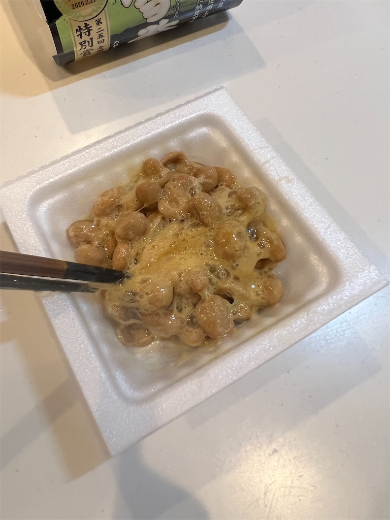 f:id:gohatori:20230604101756j:image