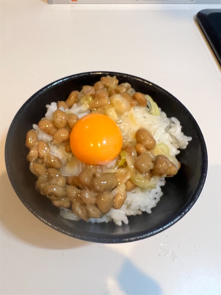 f:id:gohatori:20230604101817j:image