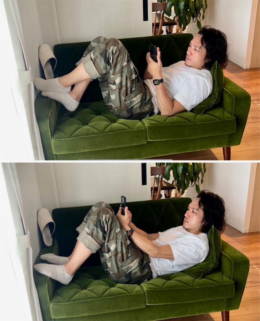f:id:gohatori:20230612052220j:image f:id:gohatori:20230612052220j:image