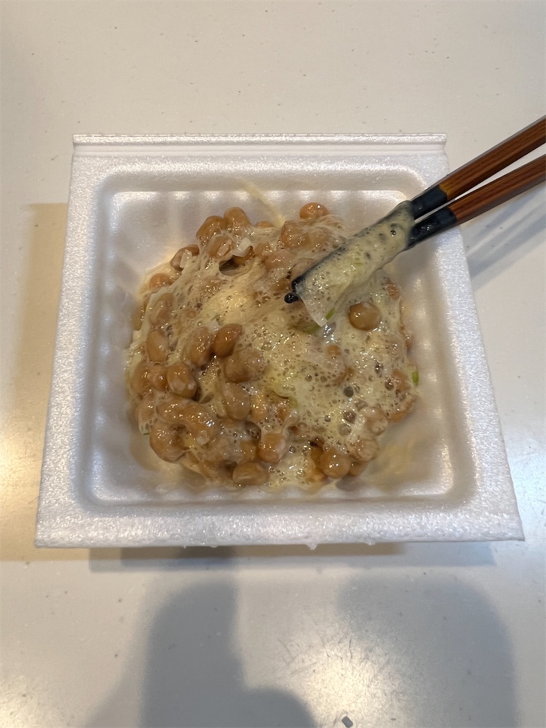 f:id:gohatori:20230618054952j:image