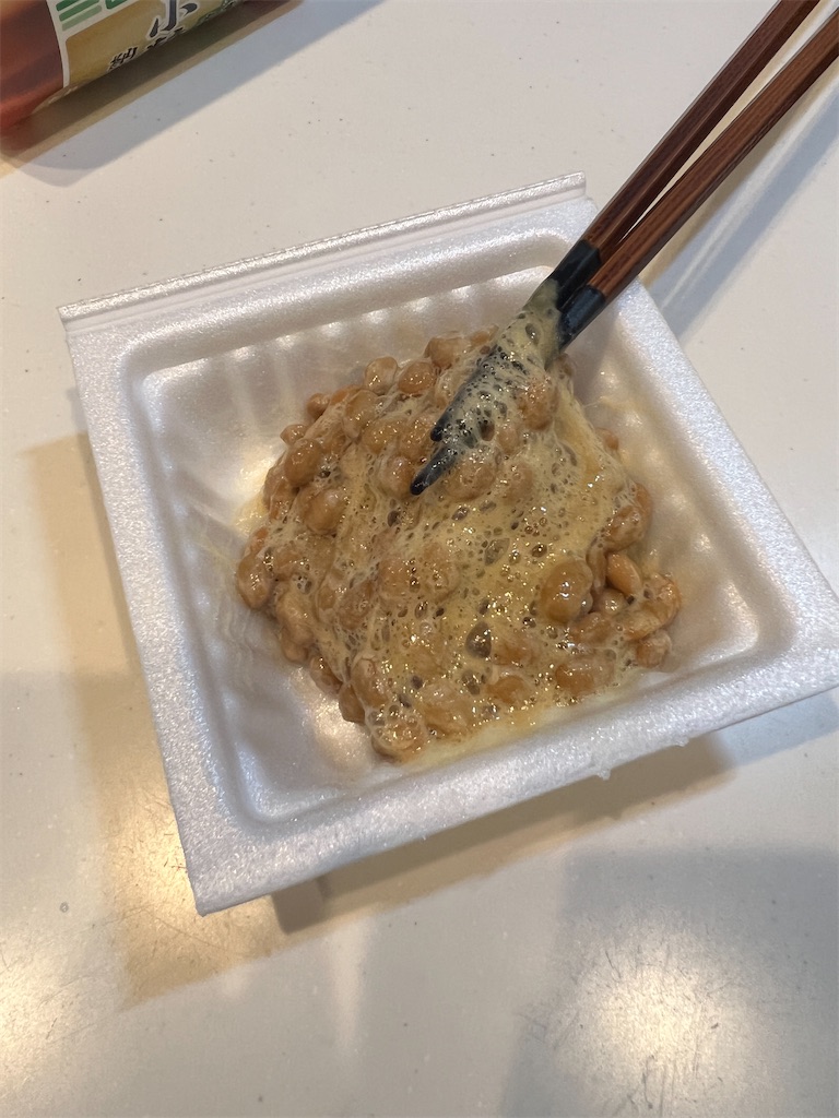 f:id:gohatori:20230618055007j:image