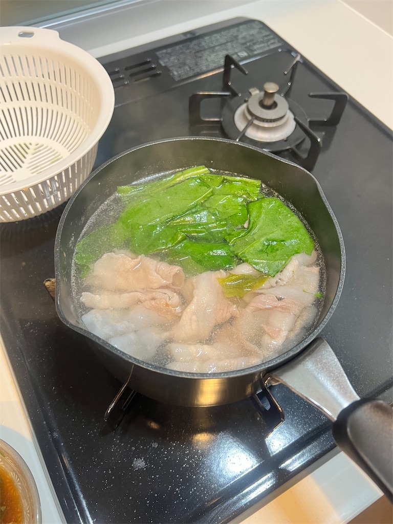 f:id:gohatori:20230620063243j:image