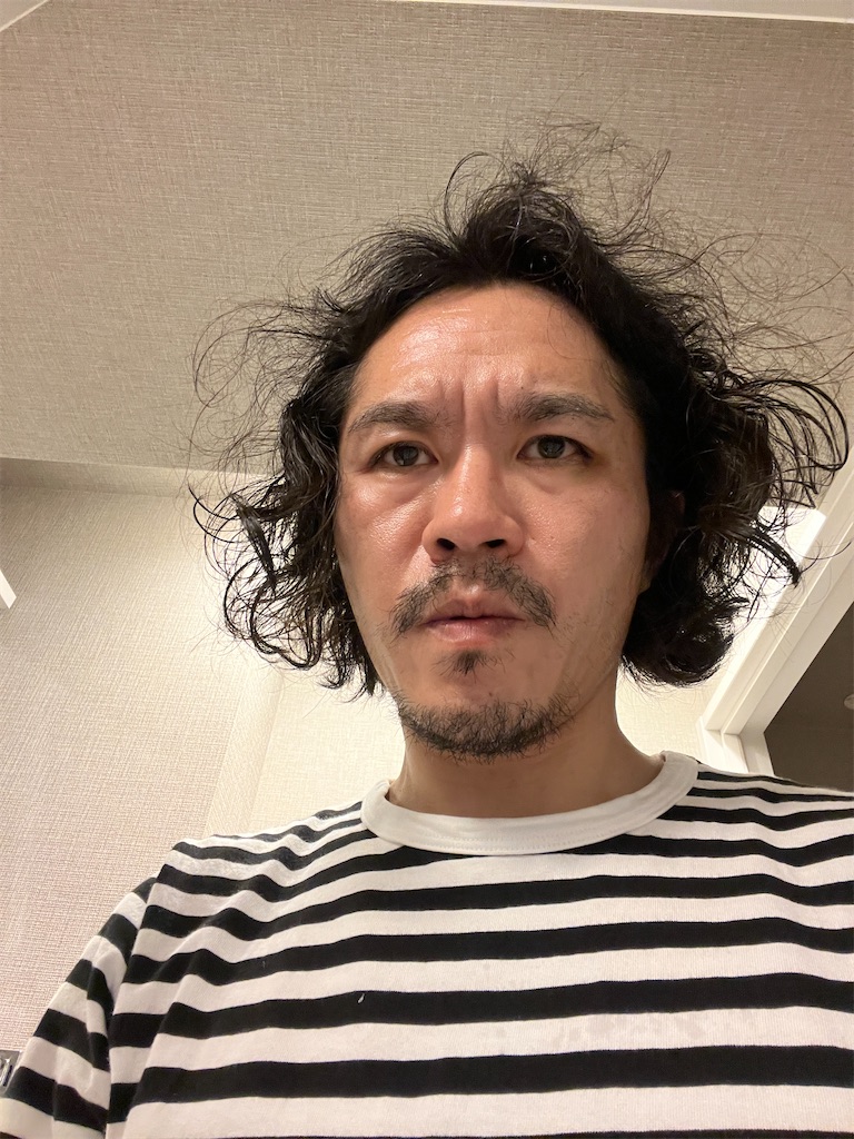 f:id:gohatori:20230624201304j:image