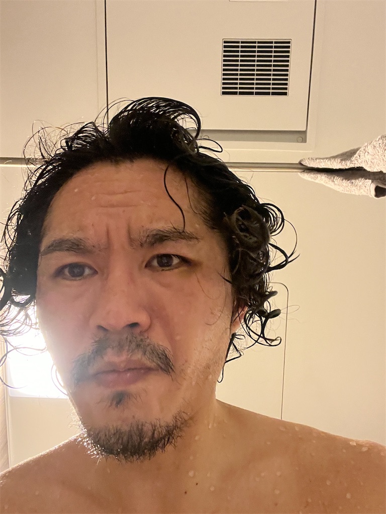 f:id:gohatori:20230627060102j:image