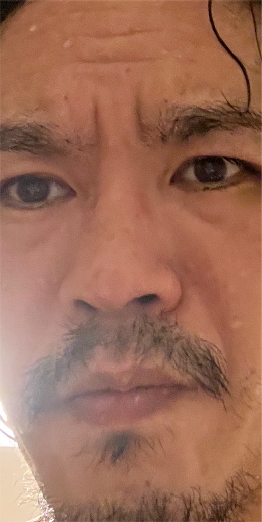 f:id:gohatori:20230627065424j:image