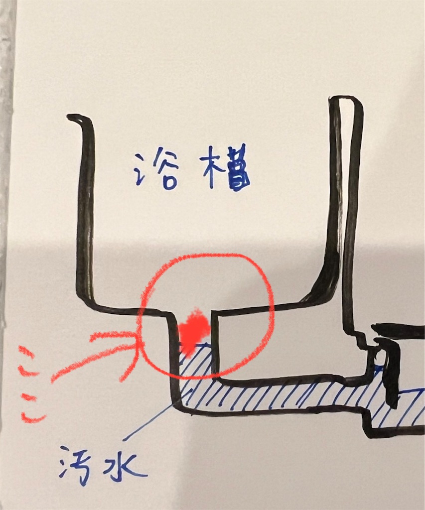 f:id:gohatori:20230627080302j:image