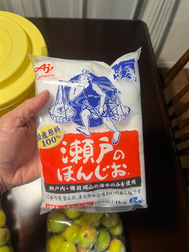 f:id:gohatori:20230627213540j:image