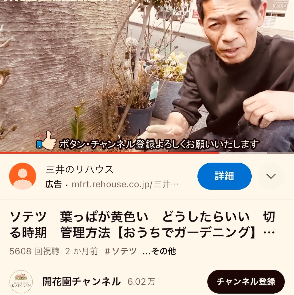 f:id:gohatori:20230629065832j:image f:id:gohatori:20230629065832j:image