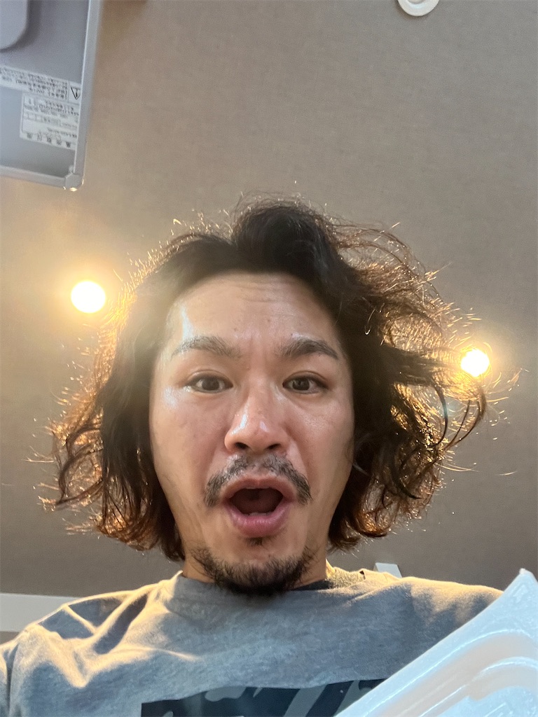 f:id:gohatori:20230630070150j:image