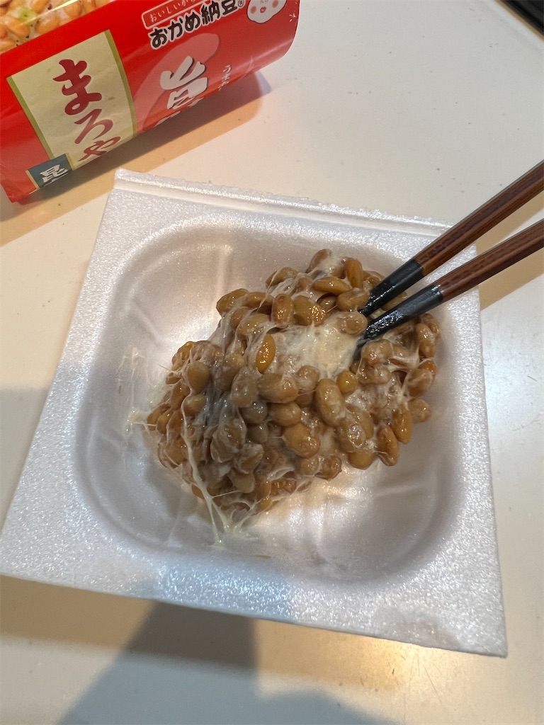 f:id:gohatori:20230630070221j:image