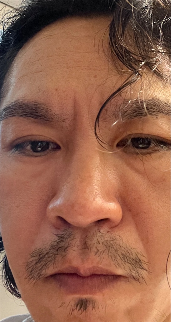 f:id:gohatori:20230701111042j:image f:id:gohatori:20230701111042j:image