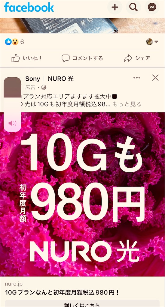 f:id:gohatori:20230711060116j:image f:id:gohatori:20230711060116j:image