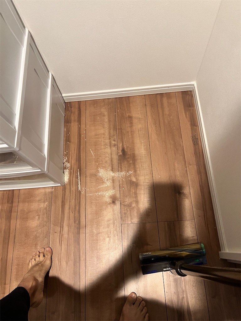 f:id:gohatori:20230723213101j:image