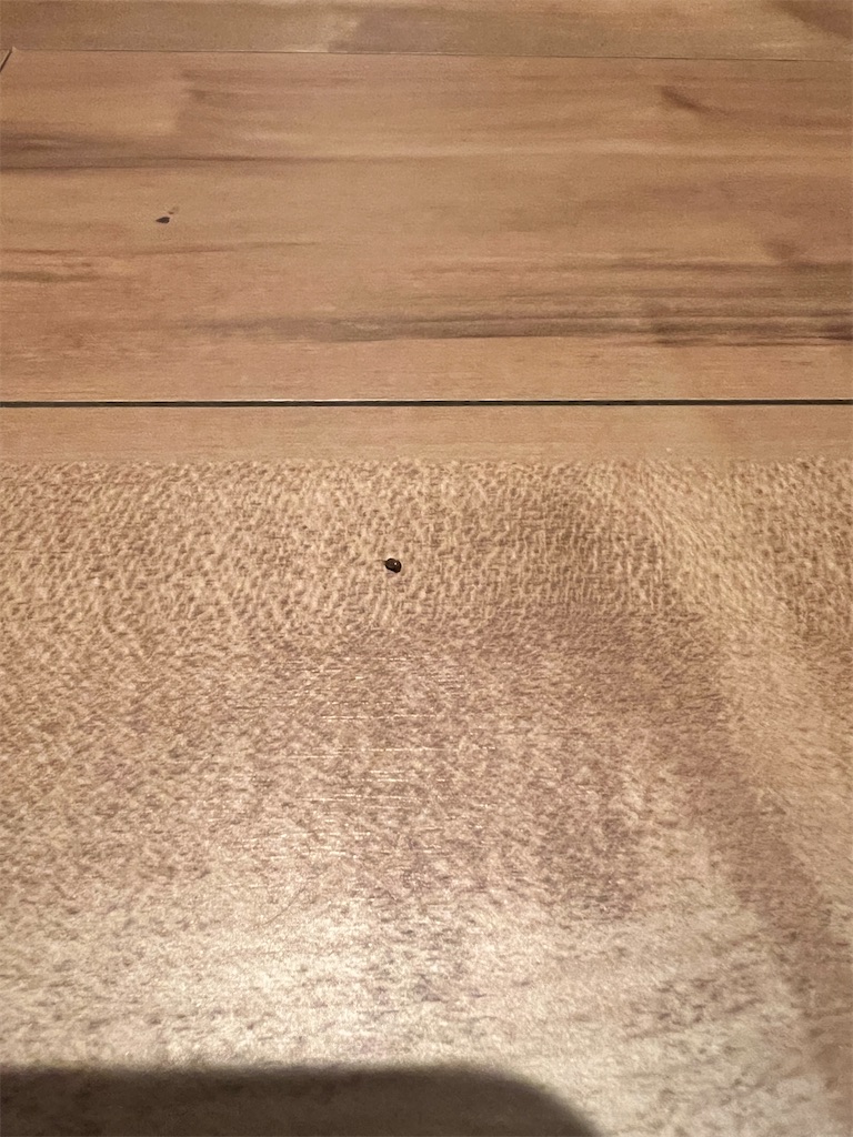 f:id:gohatori:20230723213110j:image