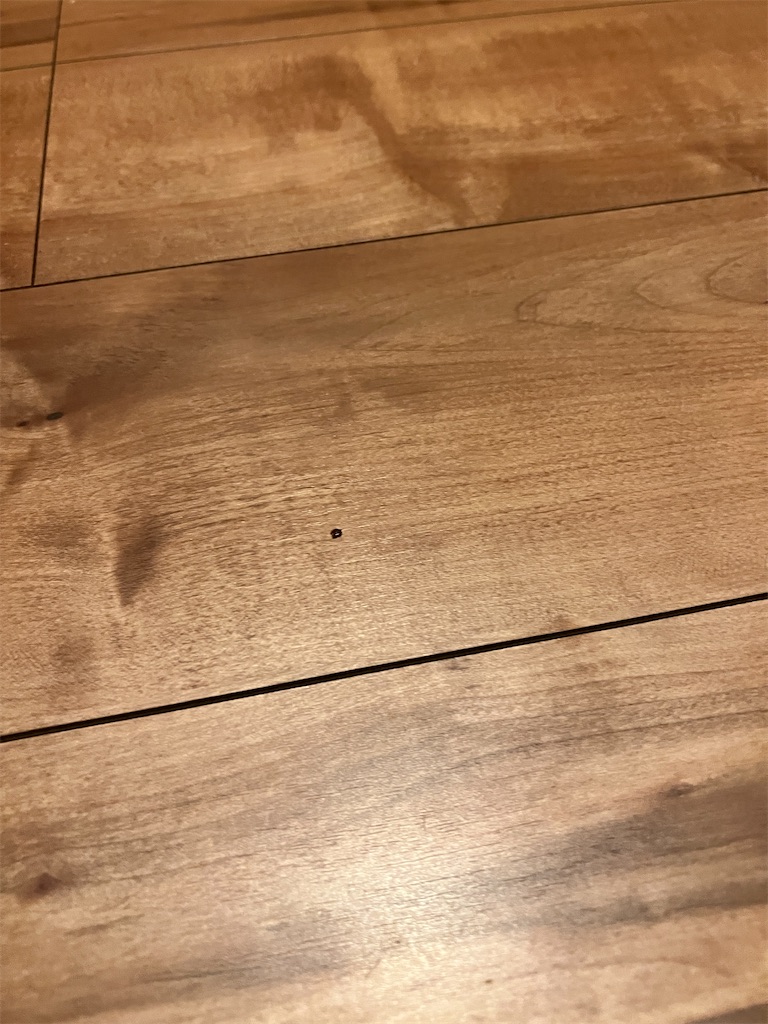 f:id:gohatori:20230723213129j:image