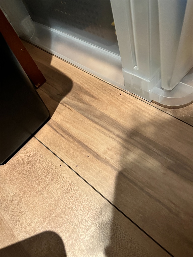 f:id:gohatori:20230723213132j:image