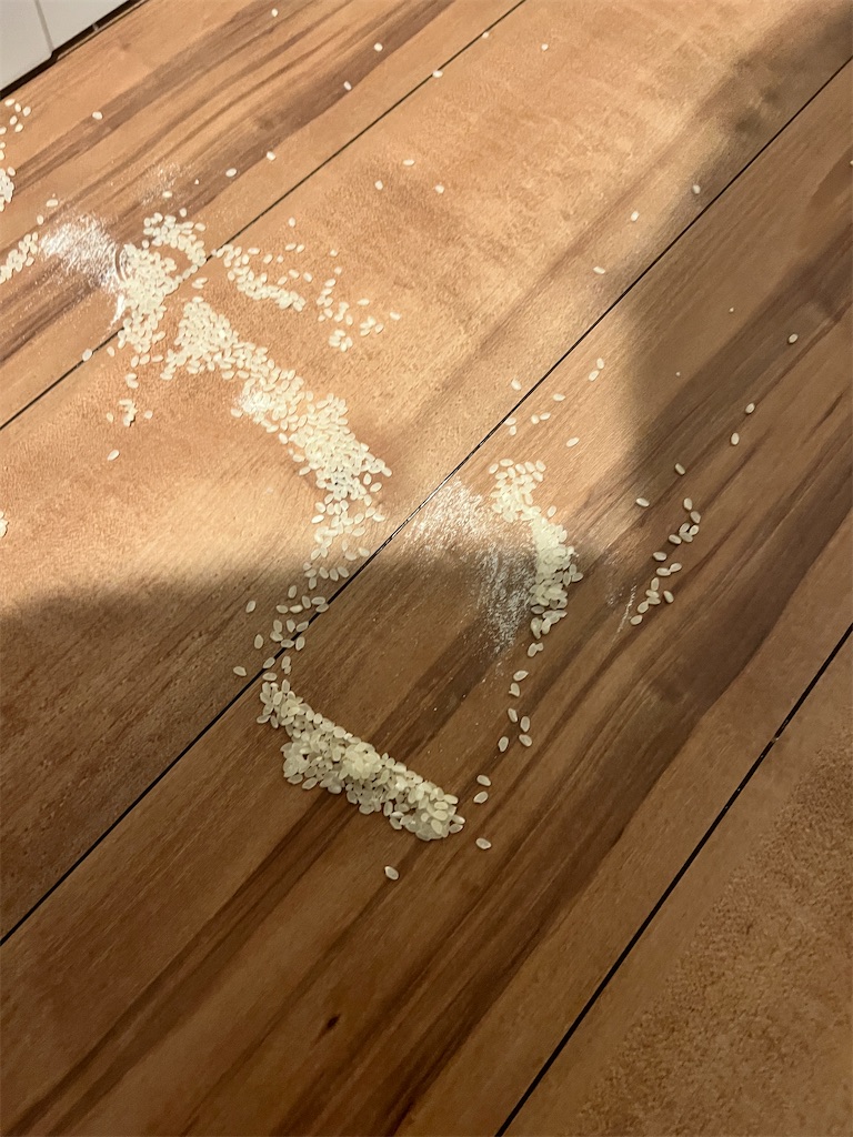 f:id:gohatori:20230723213135j:image