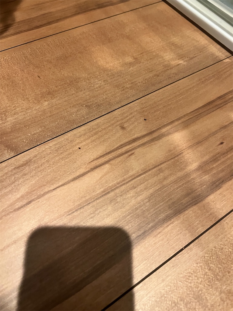 f:id:gohatori:20230723213214j:image