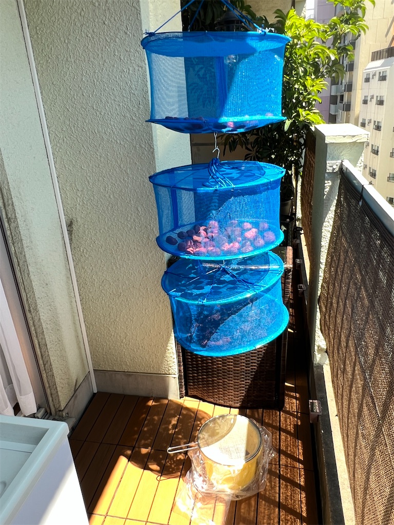 f:id:gohatori:20230805095234j:image
