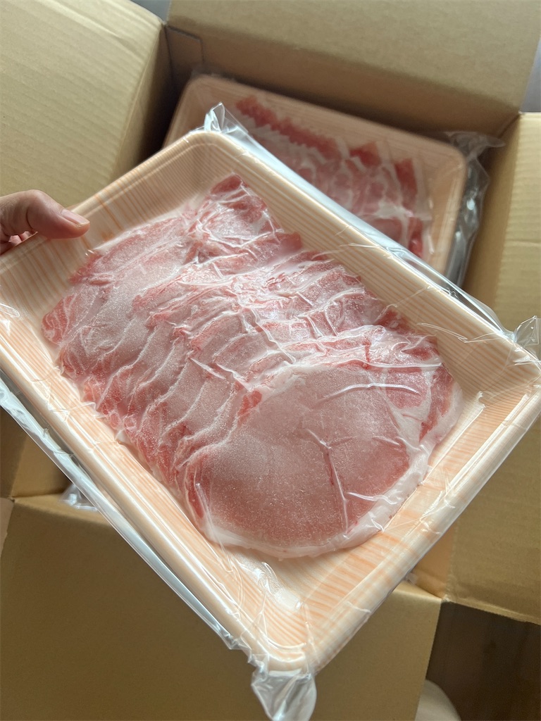 f:id:gohatori:20230815191725j:image f:id:gohatori:20230815191725j:image