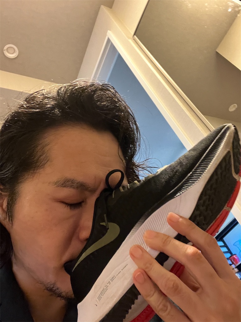 f:id:gohatori:20230914060425j:image
