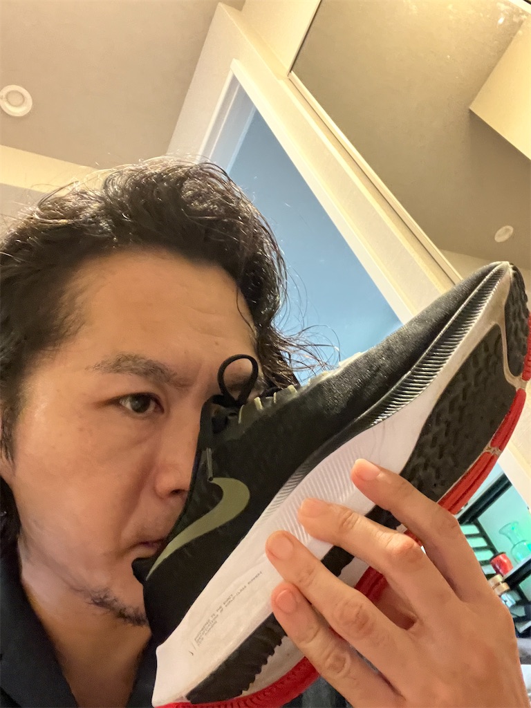 f:id:gohatori:20230914060432j:image