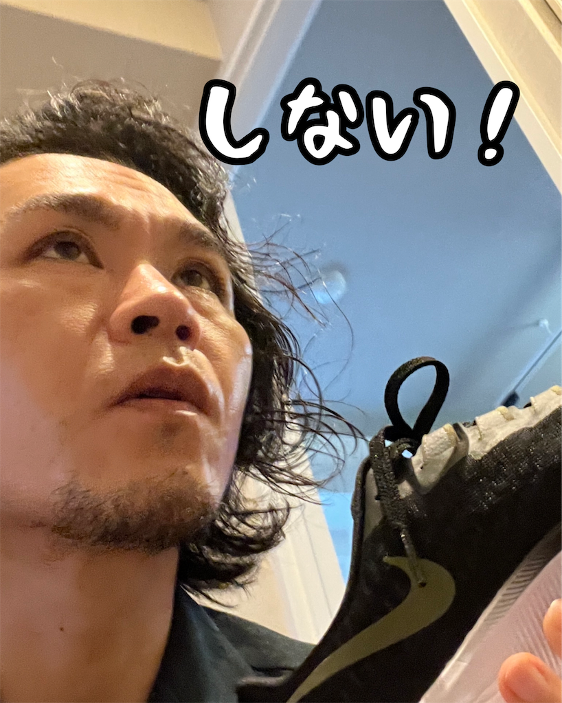 f:id:gohatori:20230914060621p:image