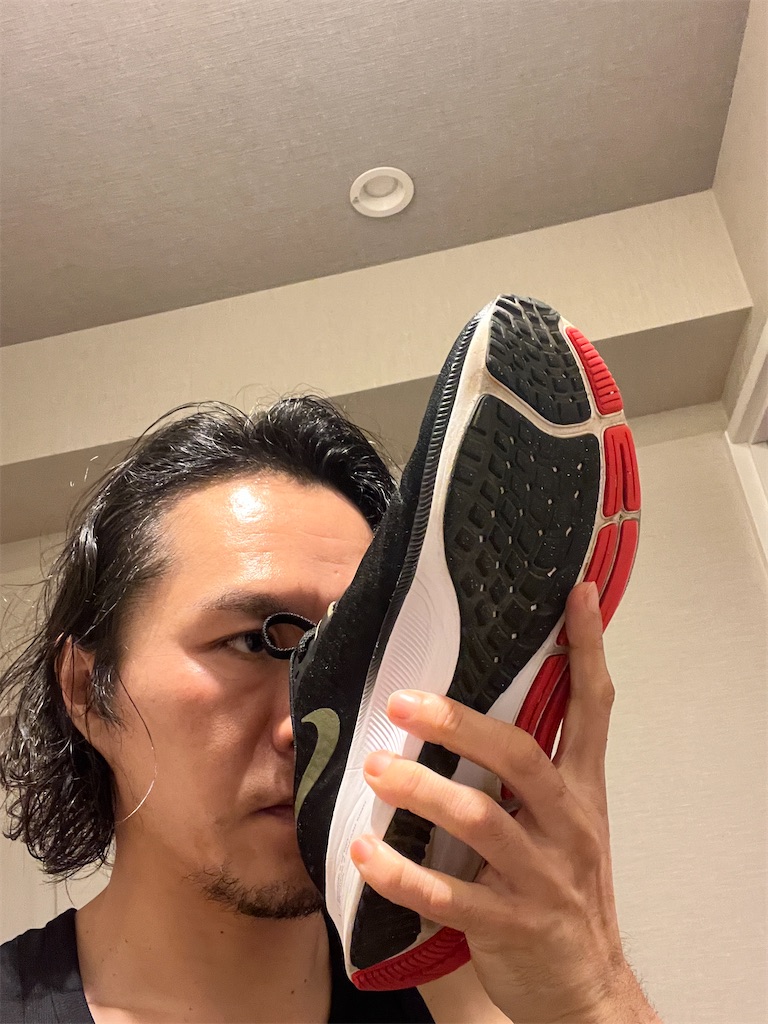 f:id:gohatori:20230914060740j:image