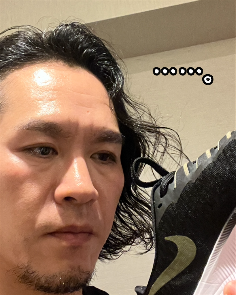 f:id:gohatori:20230914061050p:image