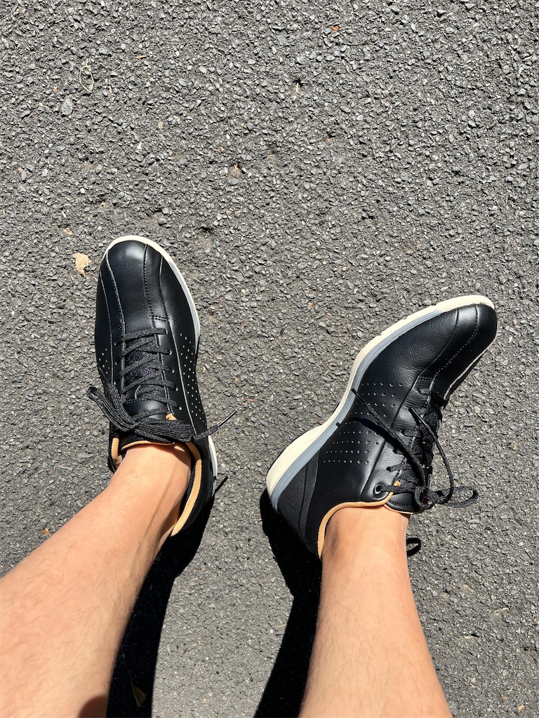 asics アシックス TDW553 HADASHIRIDE553 ハダシライド ブラック 001 アシックスウォーキング ハダシライド TDW553 25.0 アシックス