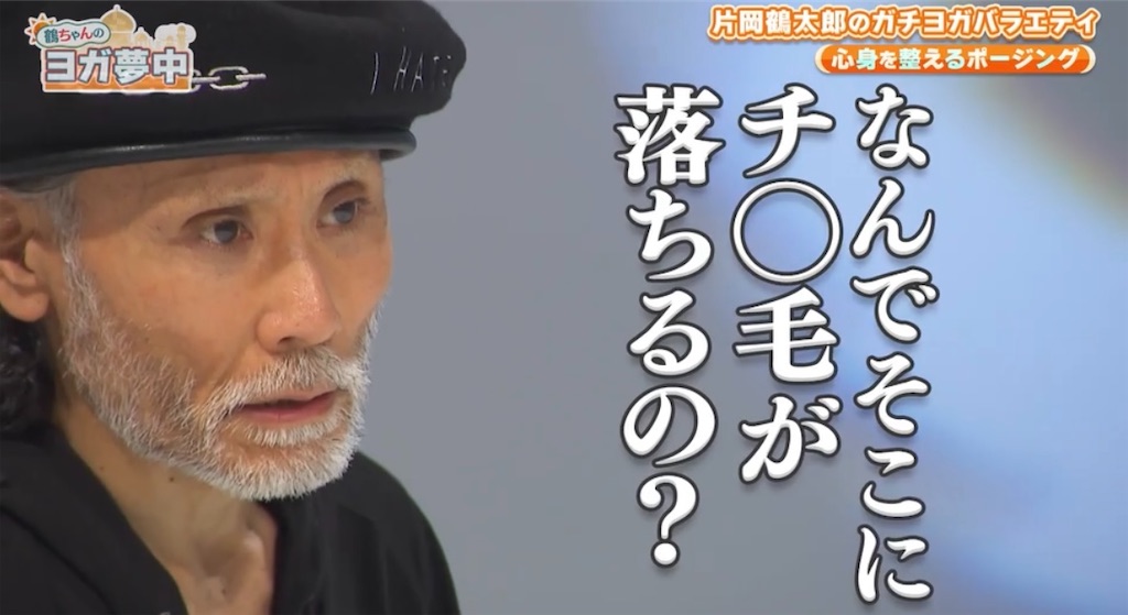 f:id:gohatori:20230929204555j:image f:id:gohatori:20230929204555j:image